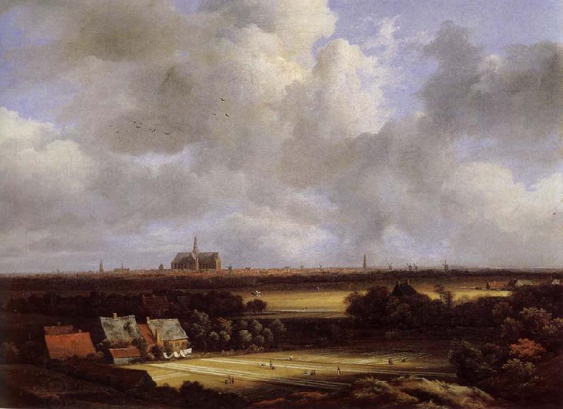 Jacob van Ruisdael View of Haarlem with Bleaching Grounds